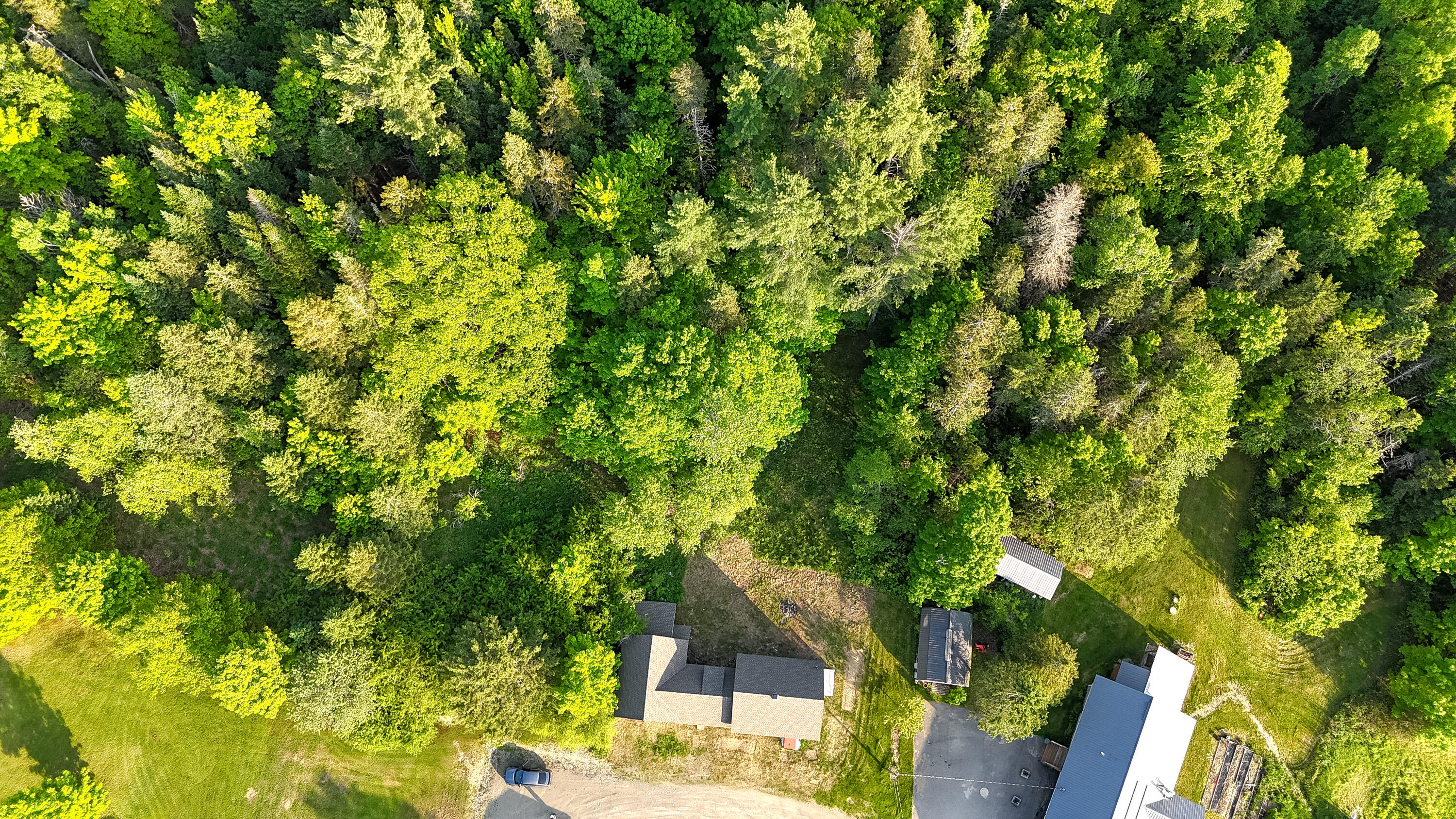 16 Gerry Road Sherman, ME 04776 - Photo 5 of 61 03 - Back Area
