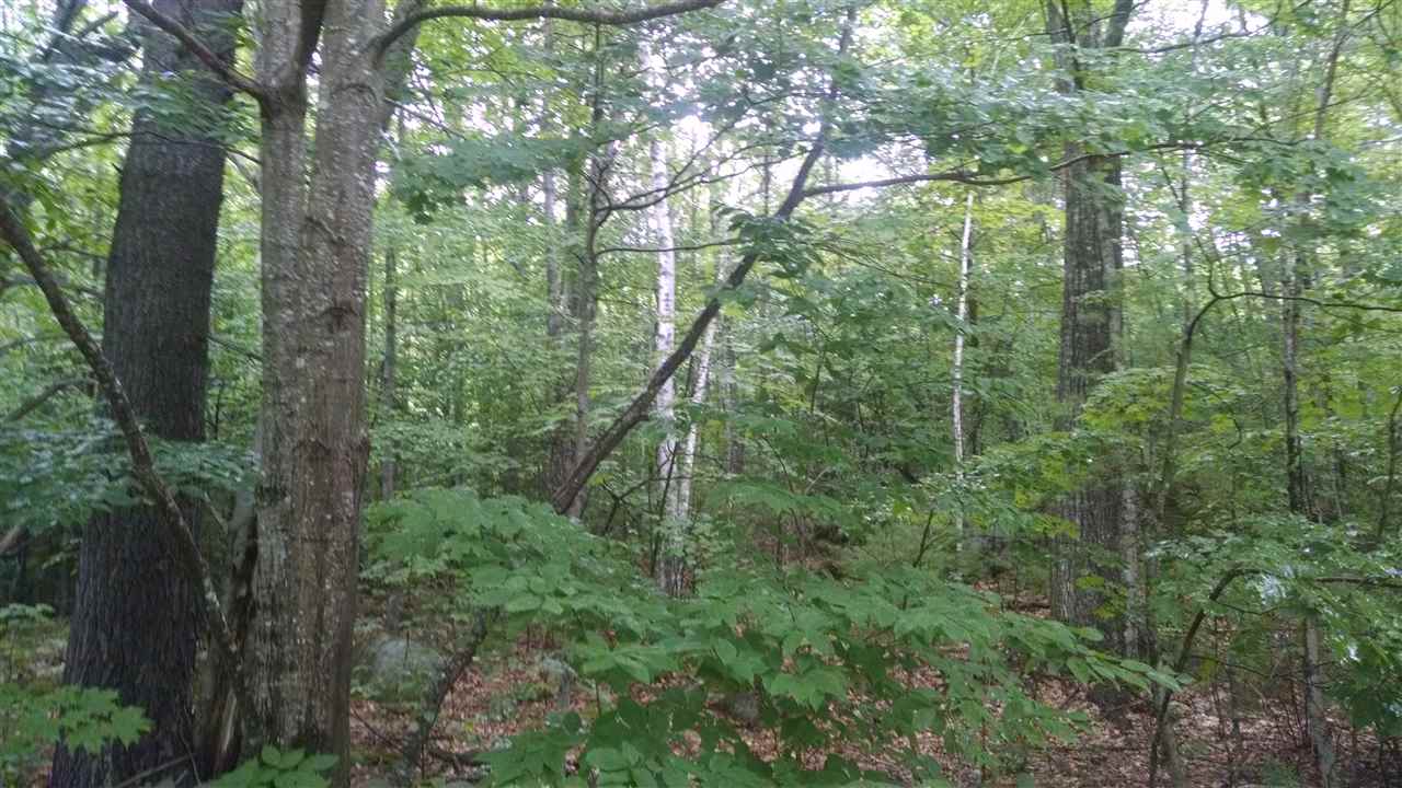 47 Fox Road Madison, NH 03849 - Photo 3 of 6