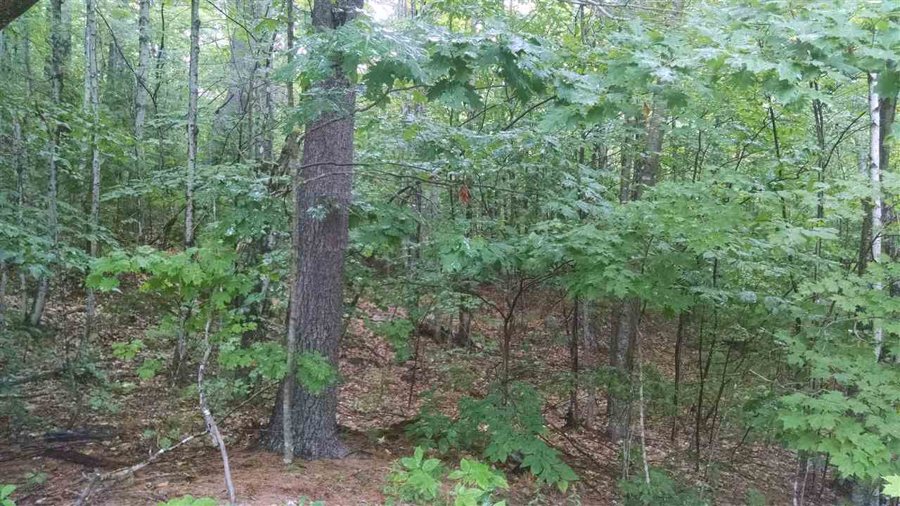 47 Fox Road Madison, NH 03849 - Photo 4 of 6