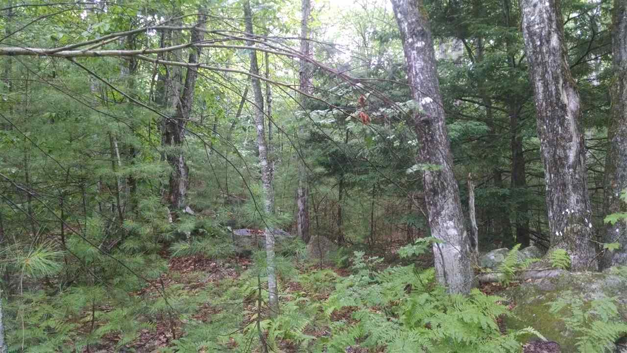 47 Fox Road Madison, NH 03849 - Photo 5 of 6