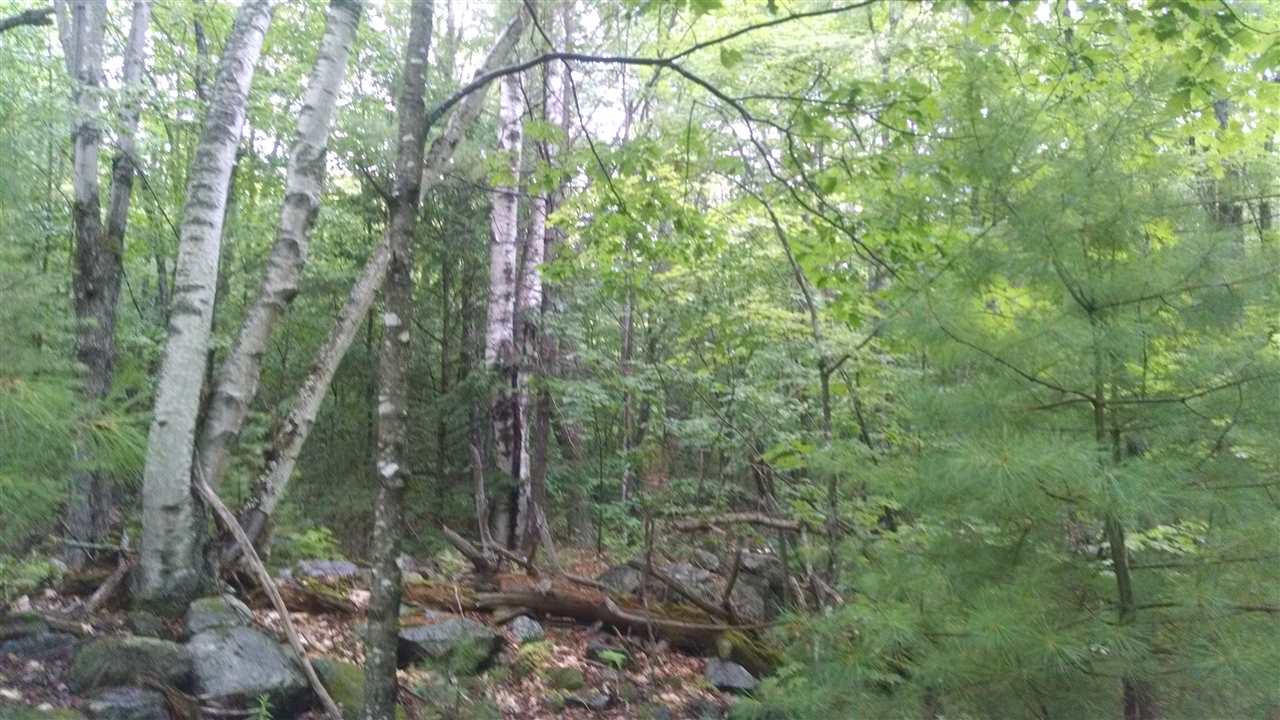 47 Fox Road Madison, NH 03849 - Photo 6 of 6