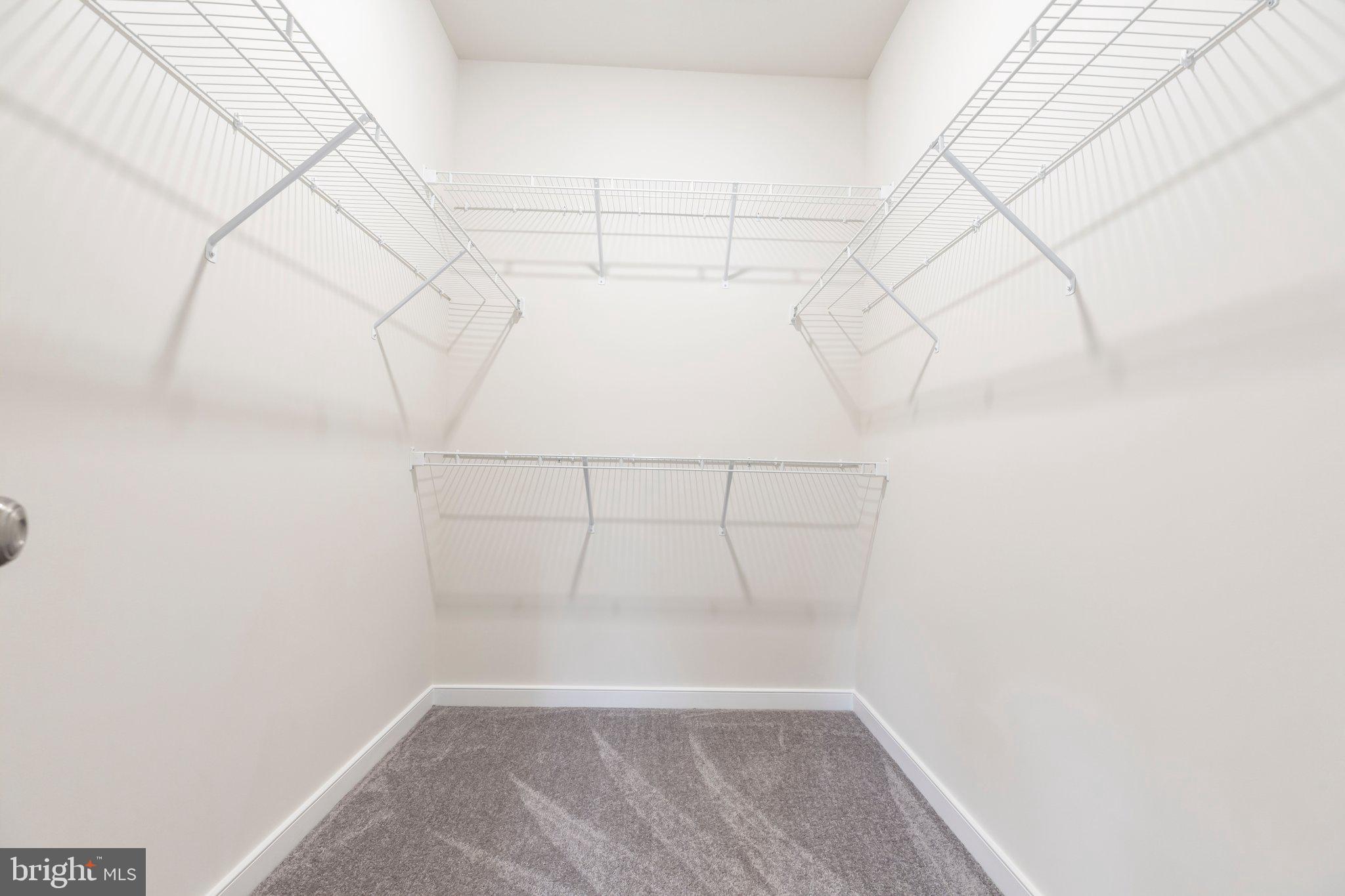 19159 Country Road Beaverdam, VA 23015 - Photo 27 of 39 Large walk-in closet