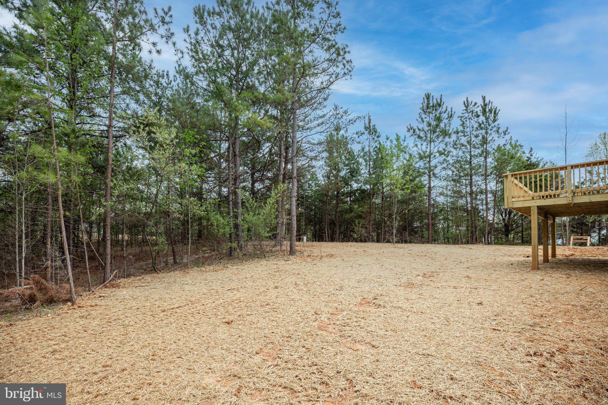 19159 Country Road Beaverdam, VA 23015 - Photo 31 of 39 Level back yard is ready for your personal touch