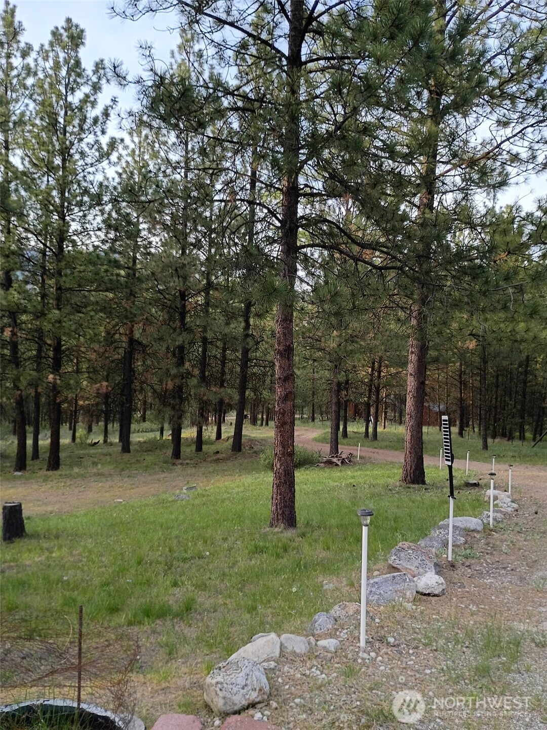 12 Caribou Road Tonasket, WA 98855 - Photo 36 of 37 a view of a park with tree s