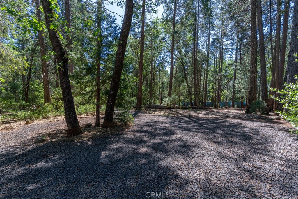 4715 Cody Lane Forest Ranch, CA 95942 - Photo 48 of 75