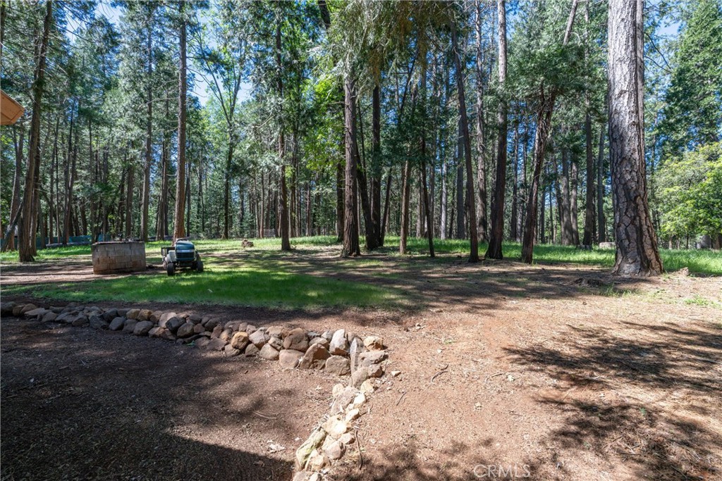 4715 Cody Lane Forest Ranch, CA 95942 - Photo 54 of 75