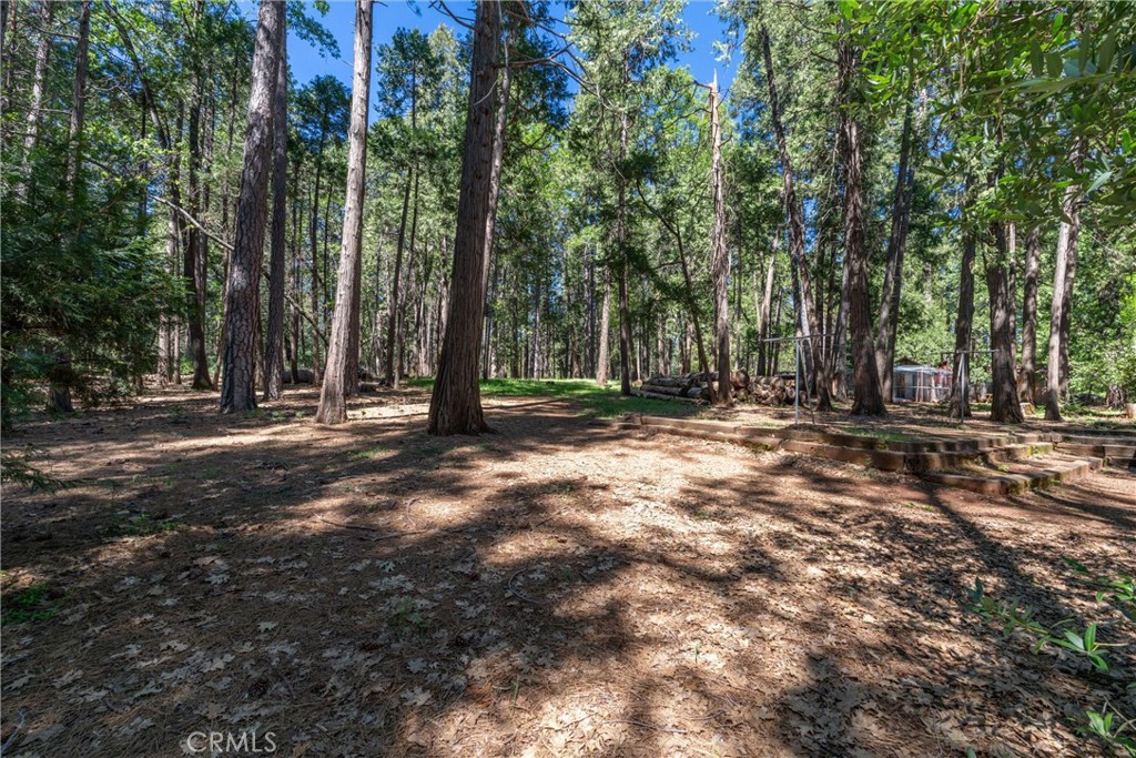 4715 Cody Lane Forest Ranch, CA 95942 - Photo 61 of 75