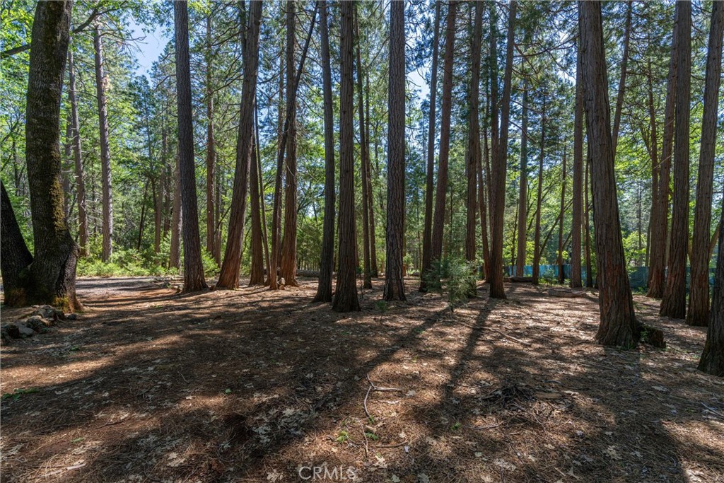 4715 Cody Lane Forest Ranch, CA 95942 - Photo 62 of 75