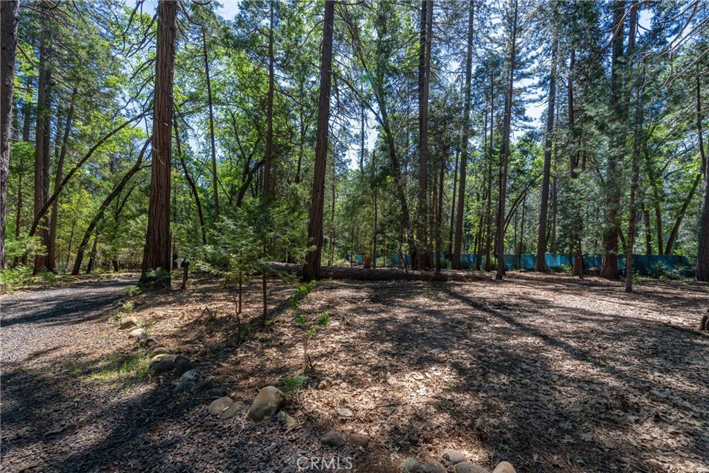 4715 Cody Lane Forest Ranch, CA 95942 - Photo 64 of 75
