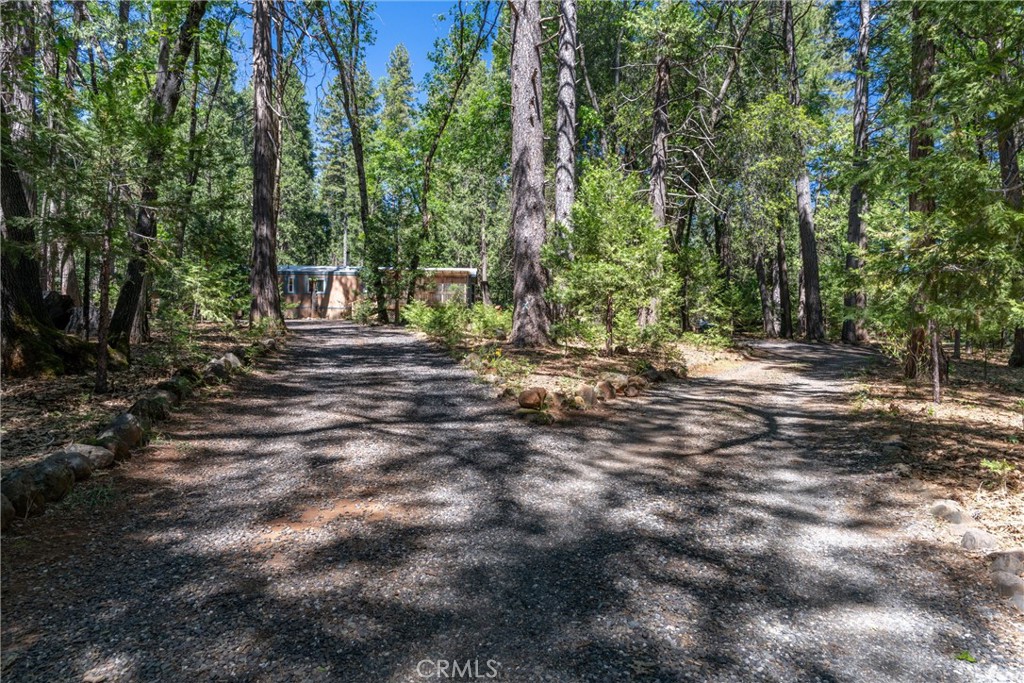 4715 Cody Lane Forest Ranch, CA 95942 - Photo 66 of 75