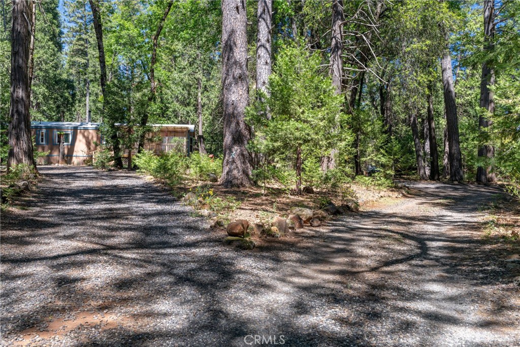 4715 Cody Lane Forest Ranch, CA 95942 - Photo 67 of 75