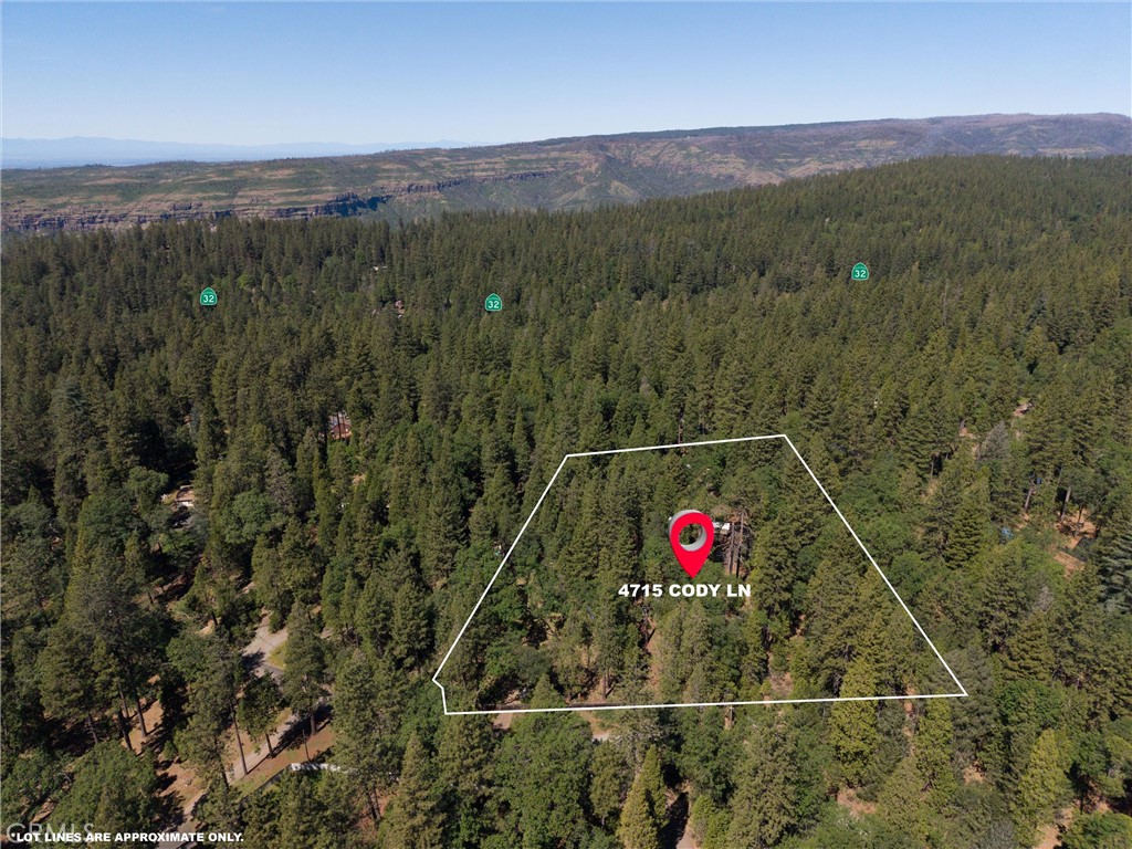 4715 Cody Lane Forest Ranch, CA 95942 - Photo 7 of 75