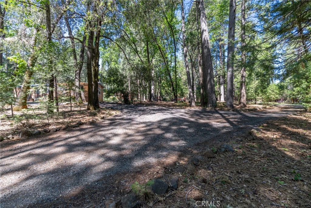 4715 Cody Lane Forest Ranch, CA 95942 - Photo 71 of 75