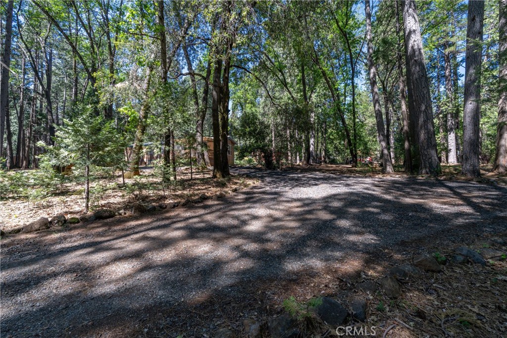 4715 Cody Lane Forest Ranch, CA 95942 - Photo 72 of 75