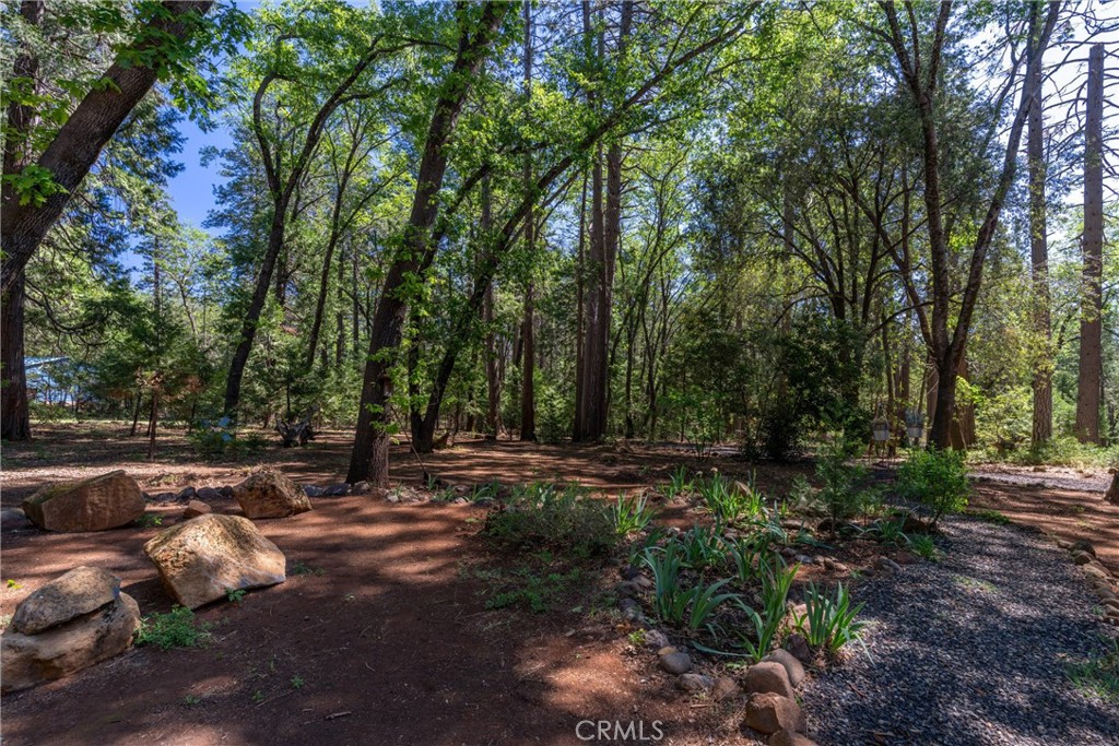 4715 Cody Lane Forest Ranch, CA 95942 - Photo 9 of 75