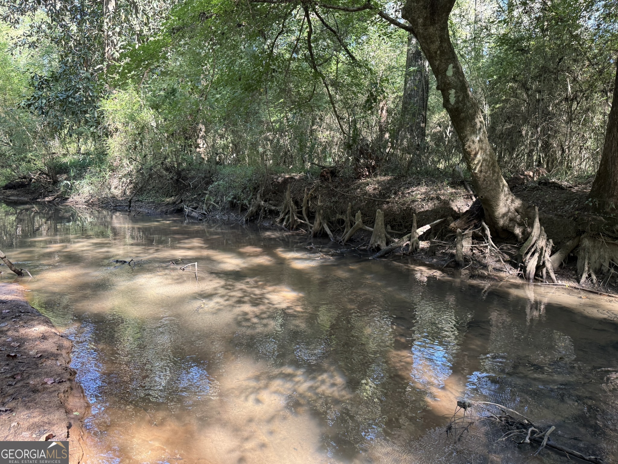 Gh Wallace Buie Road Webb, AL 36376 - Photo 3 of 9
