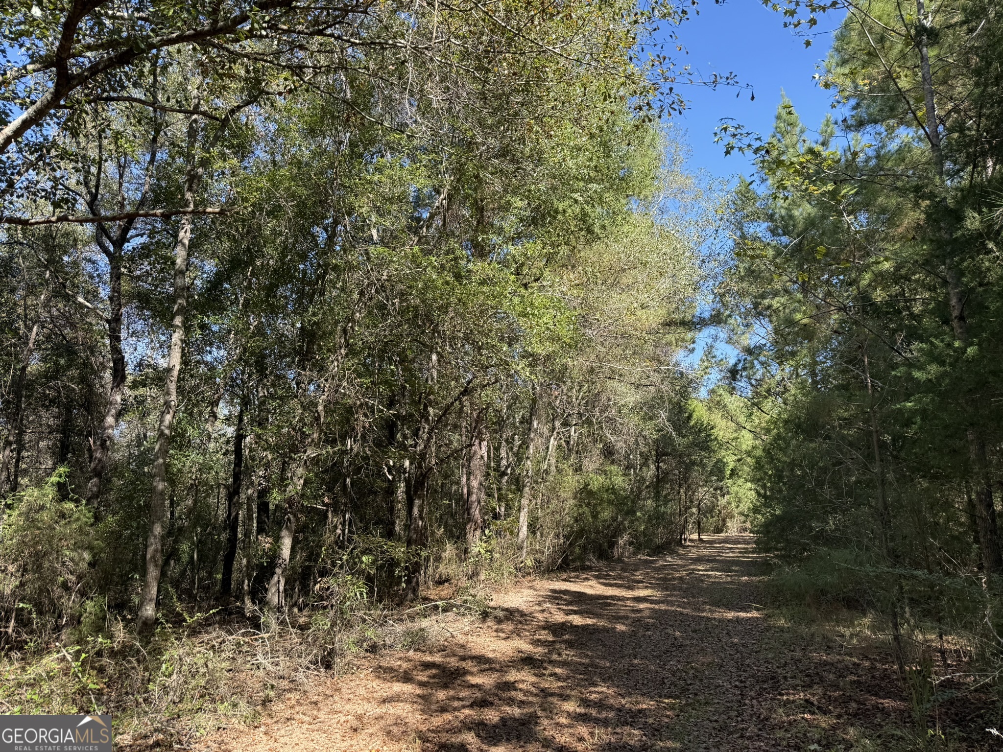 Gh Wallace Buie Road Webb, AL 36376 - Photo 4 of 9