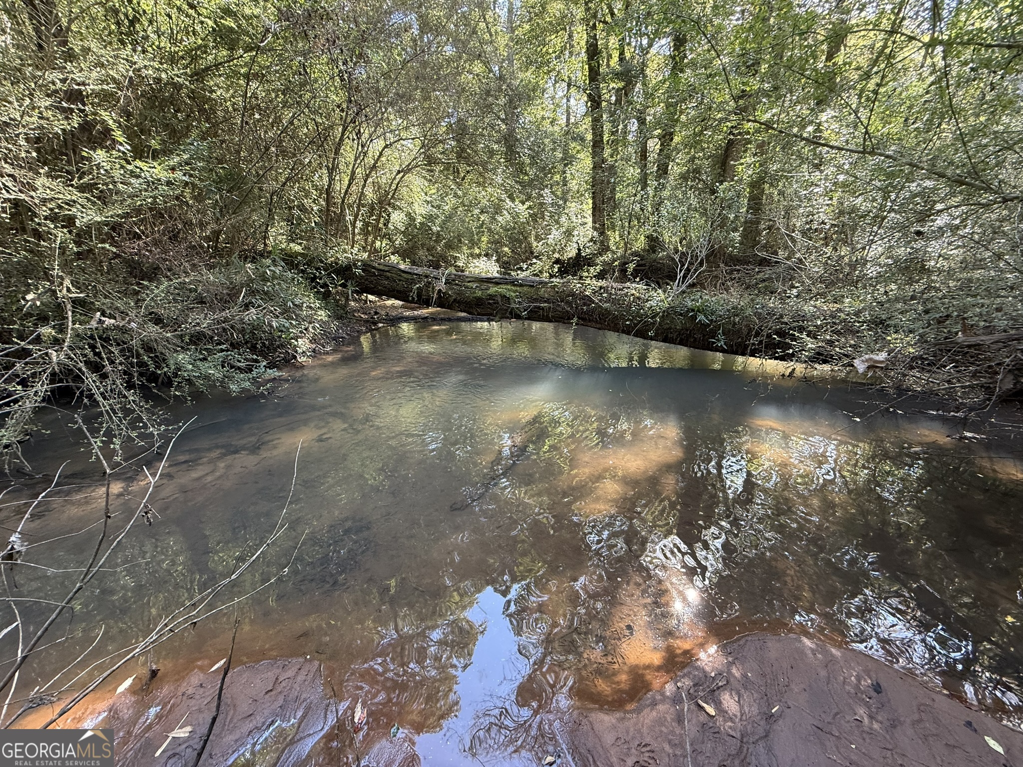 Gh Wallace Buie Road Webb, AL 36376 - Photo 5 of 9