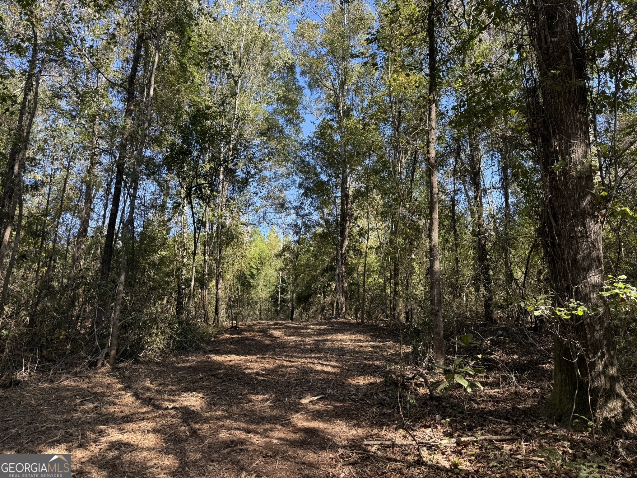 Gh Wallace Buie Road Webb, AL 36376 - Photo 9 of 9
