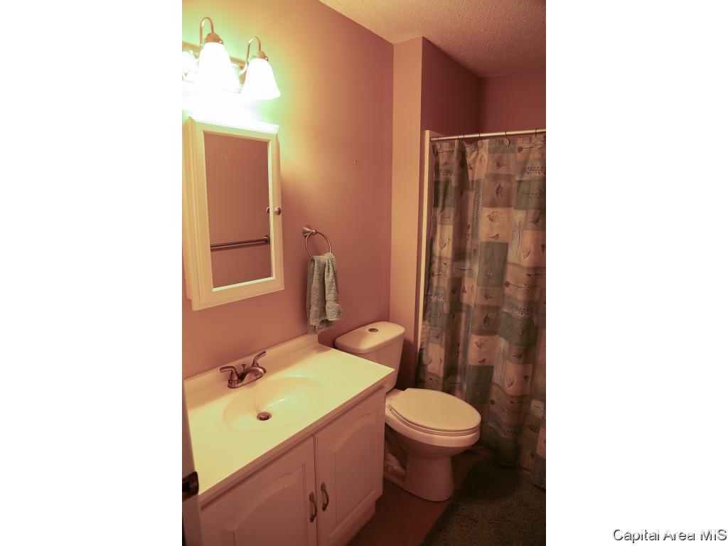9 Florence Road Rochester, IL 62563 - Photo 22 of 27