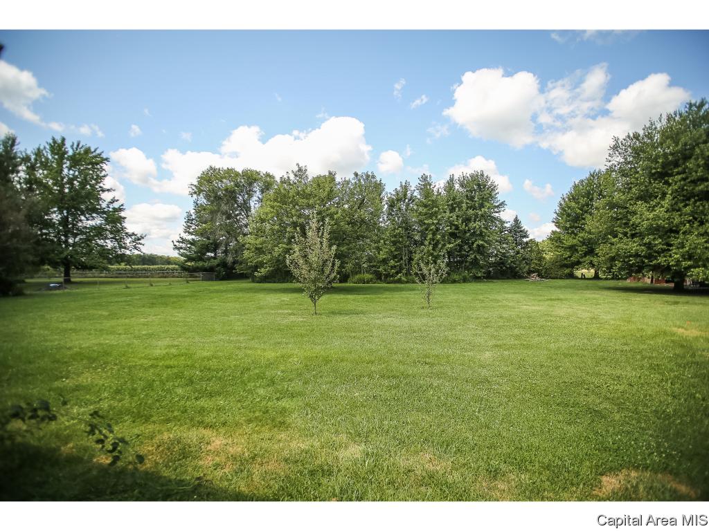 9 Florence Road Rochester, IL 62563 - Photo 5 of 27