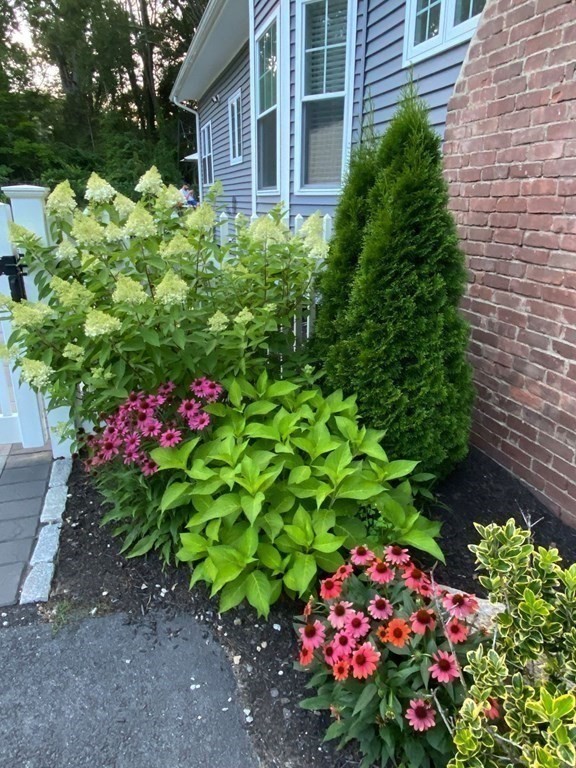 36 Eaton Road Framingham, MA 01701 - Photo 26 of 33 a view of a flower arrangement in backyard of house