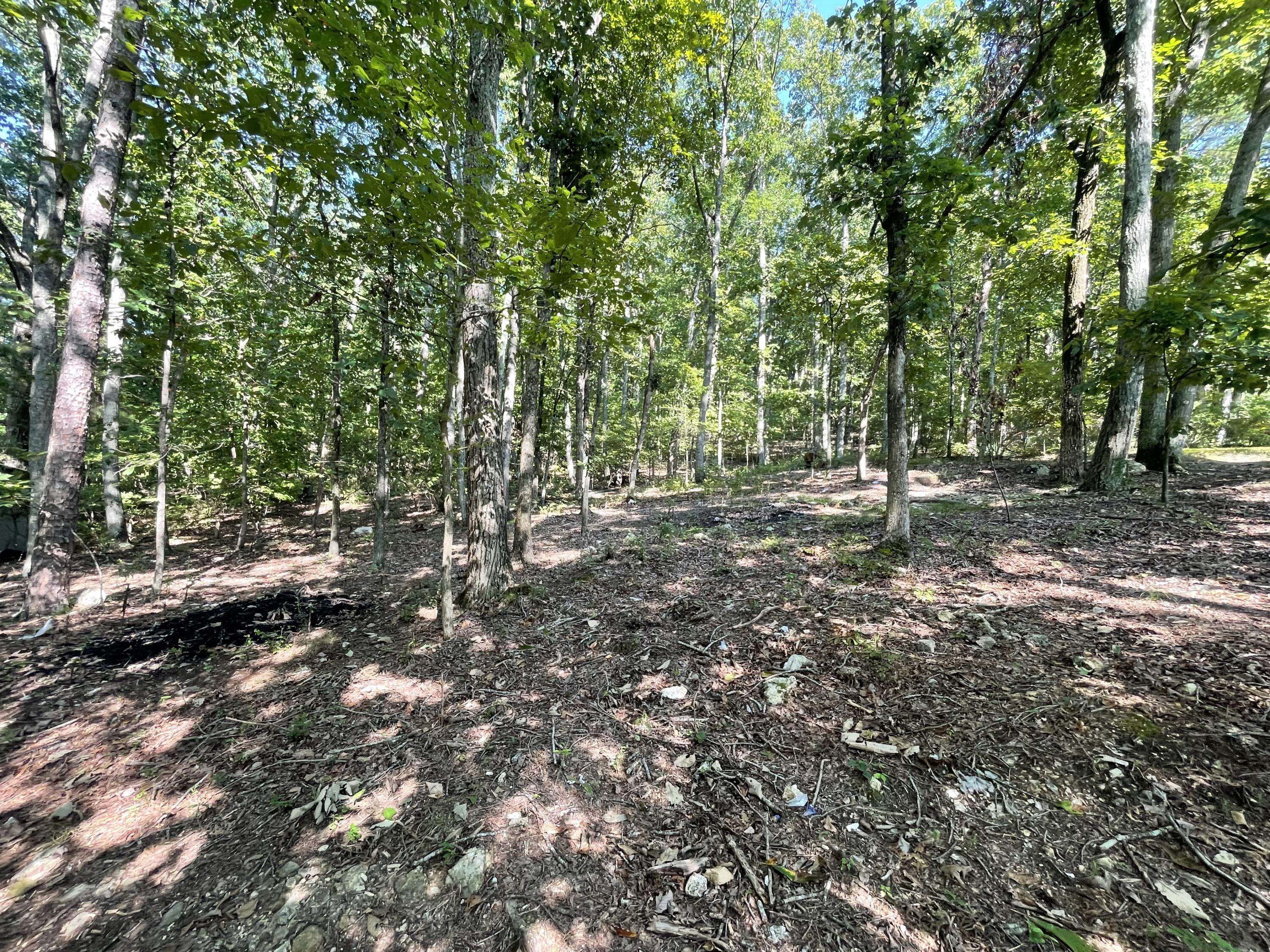 430 Davis Road Trion, GA 30753 - Photo 49 of 57 IMG_0755