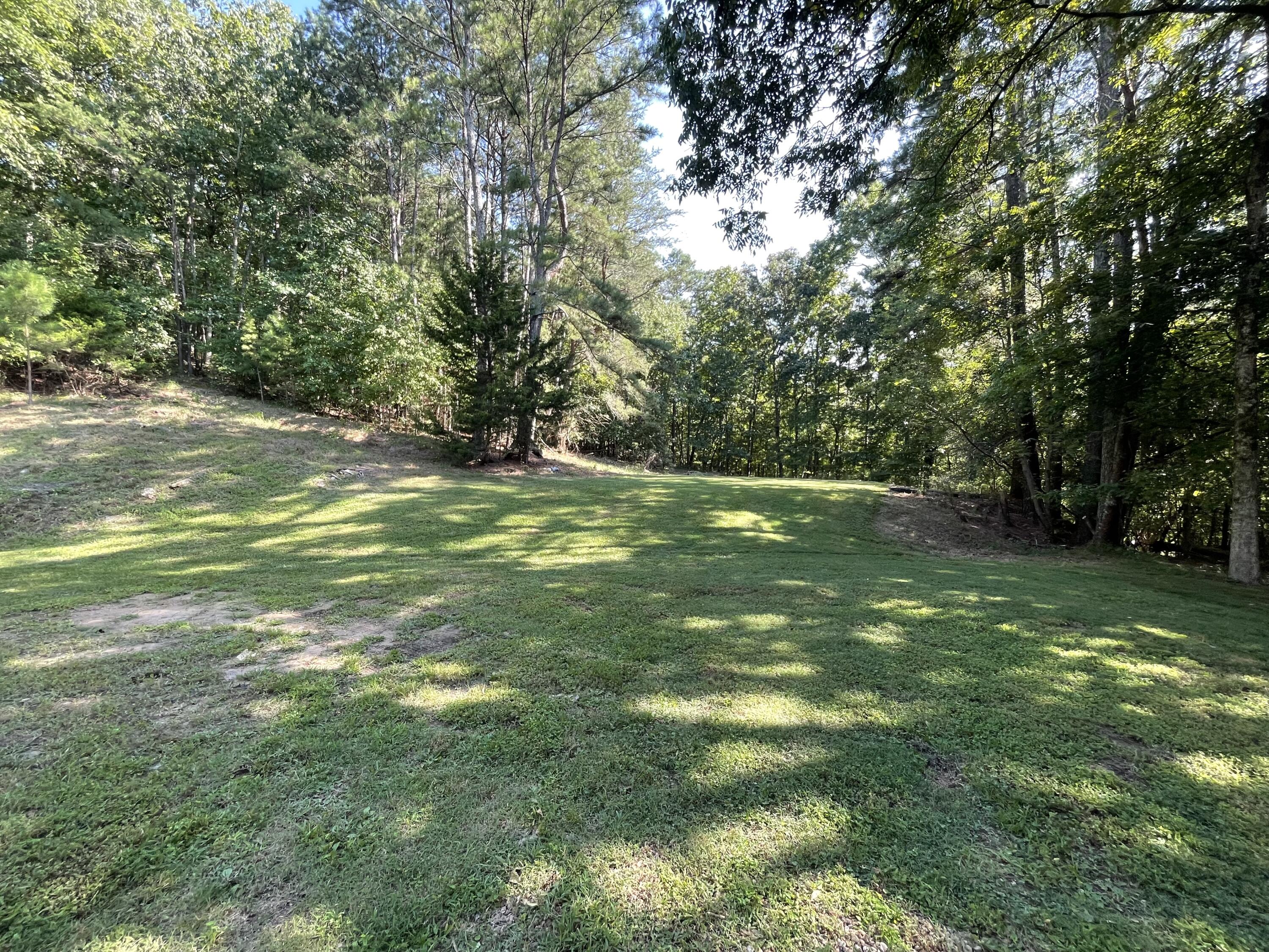 430 Davis Road Trion, GA 30753 - Photo 52 of 57 IMG_0759