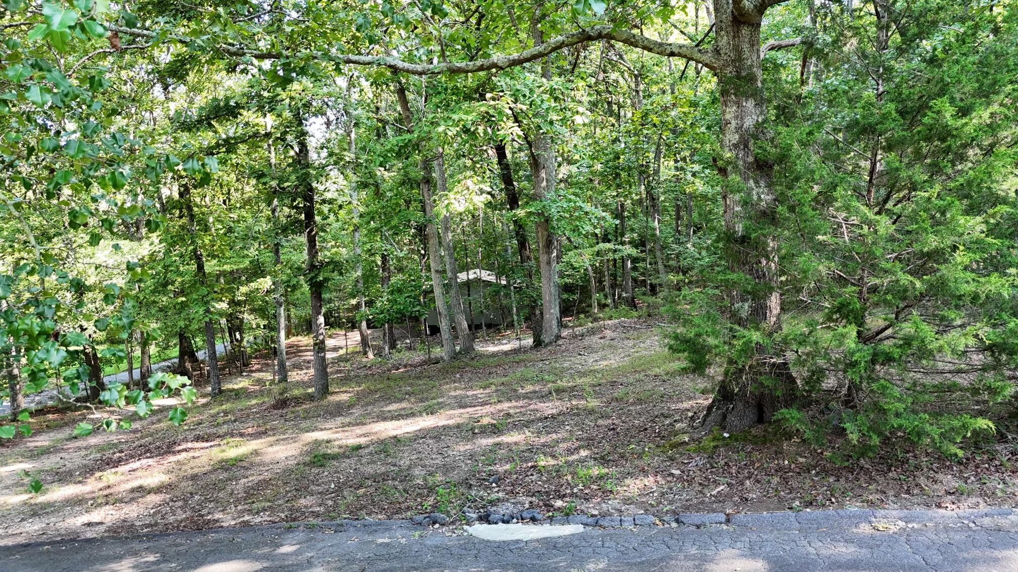 430 Davis Road Trion, GA 30753 - Photo 53 of 57 dji_fly_20240820_103944_0021_17241648652