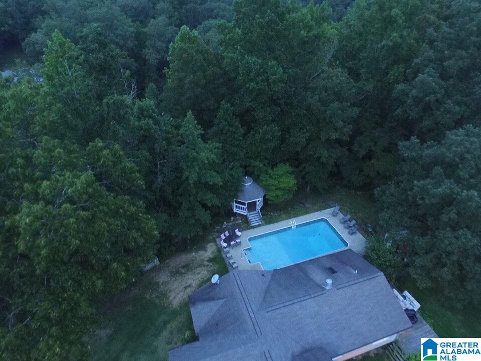 1300 Mill Creek Road Warrior, AL 35180 - Photo 4 of 39