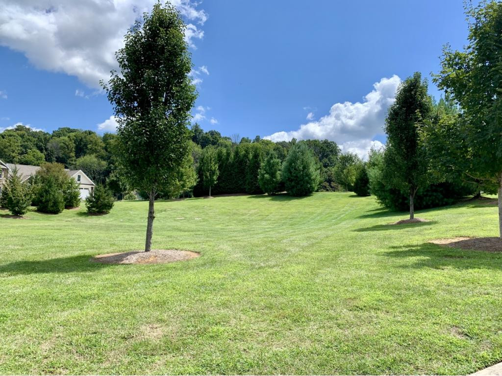 185 Quail Ridge Way Jonesborough, TN 37659 - Photo 23 of 24 Park like common area