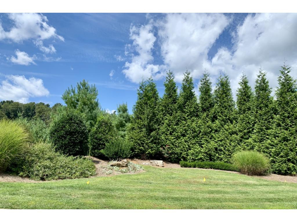 185 Quail Ridge Way Jonesborough, TN 37659 - Photo 24 of 24 Common area