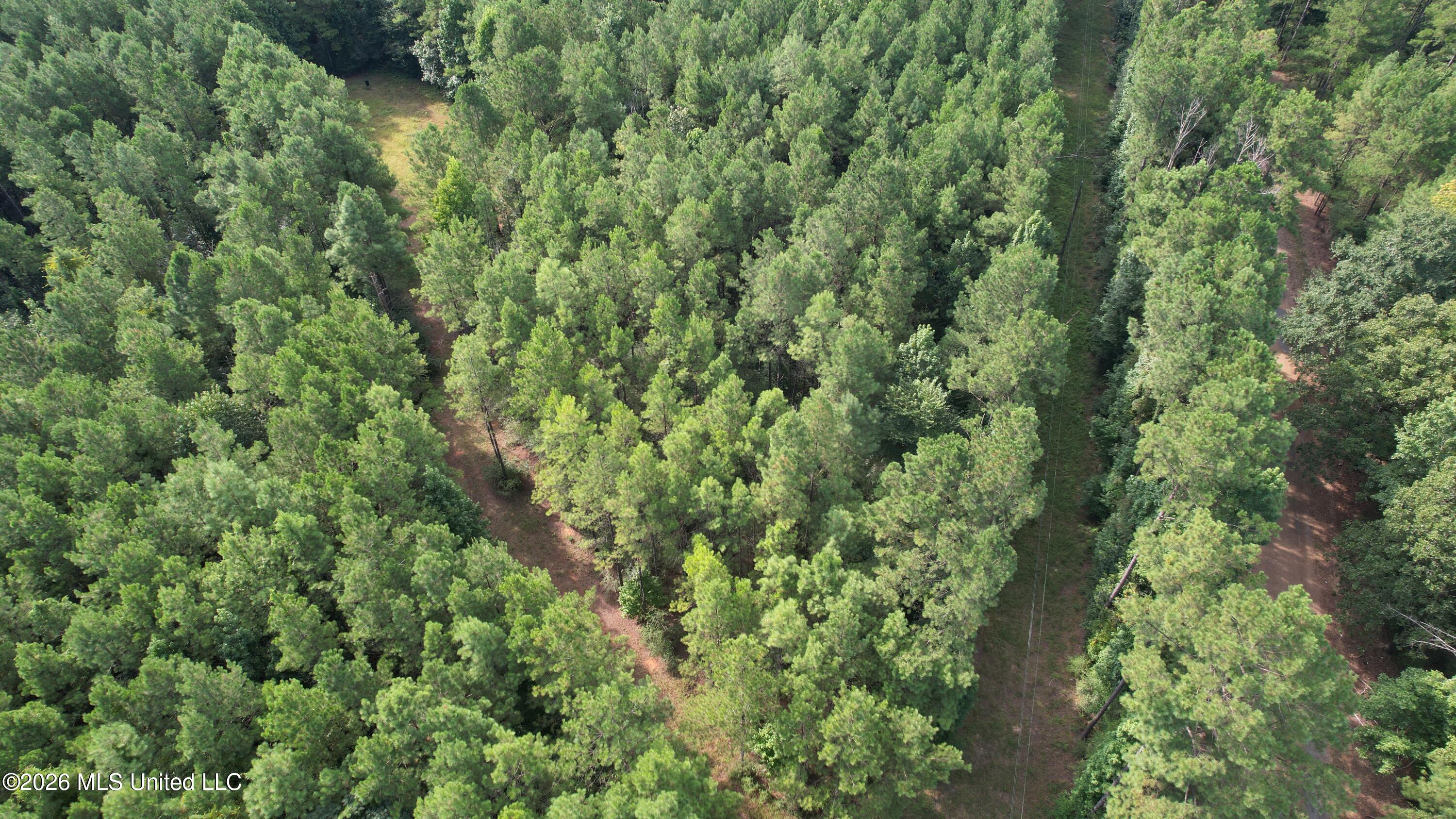 DJI_0388