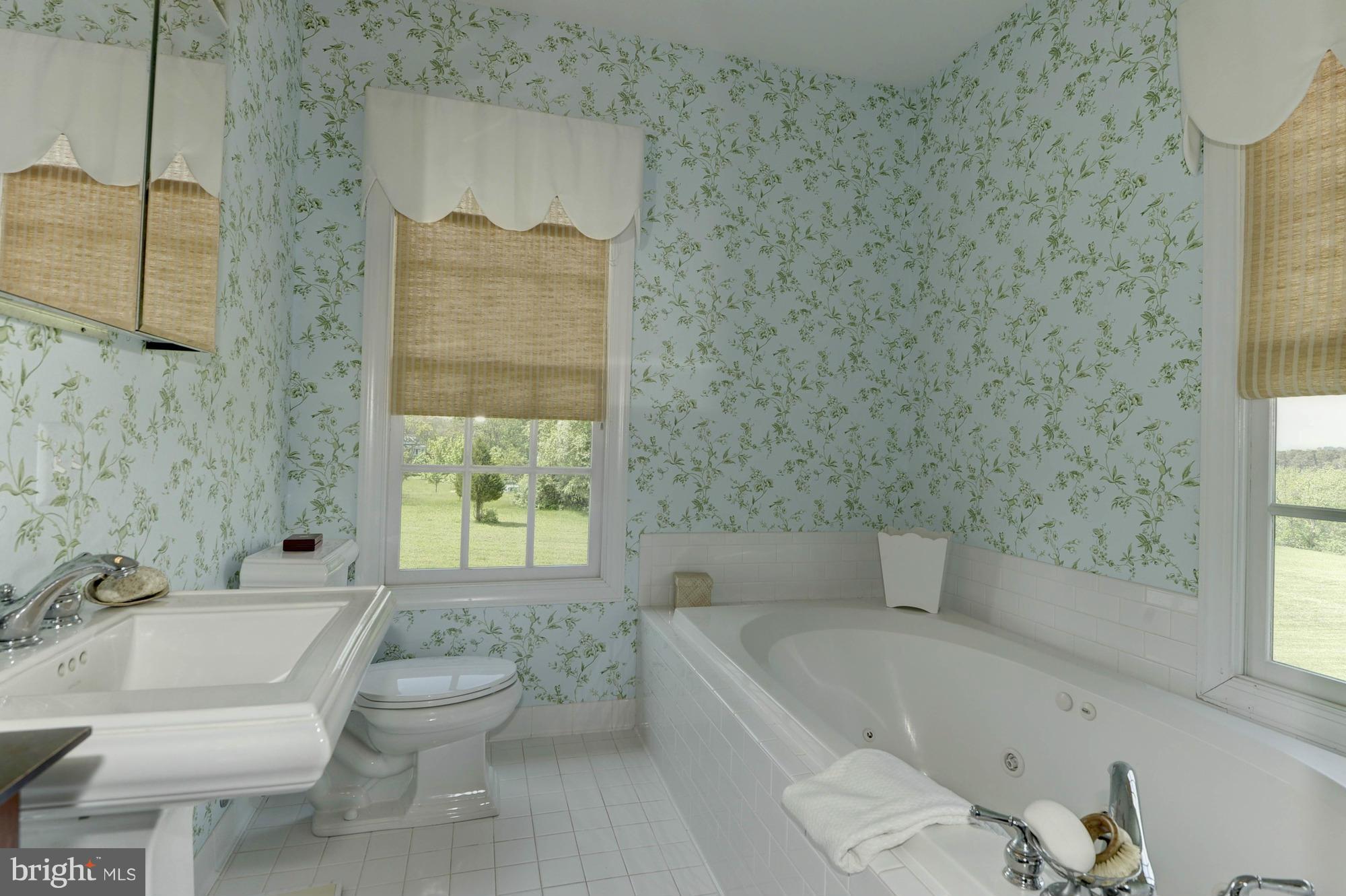 21286 Hibbs Bridge Road Middleburg, VA 20117 - Photo 16 of 30 Jacuzzi Tub and Shower