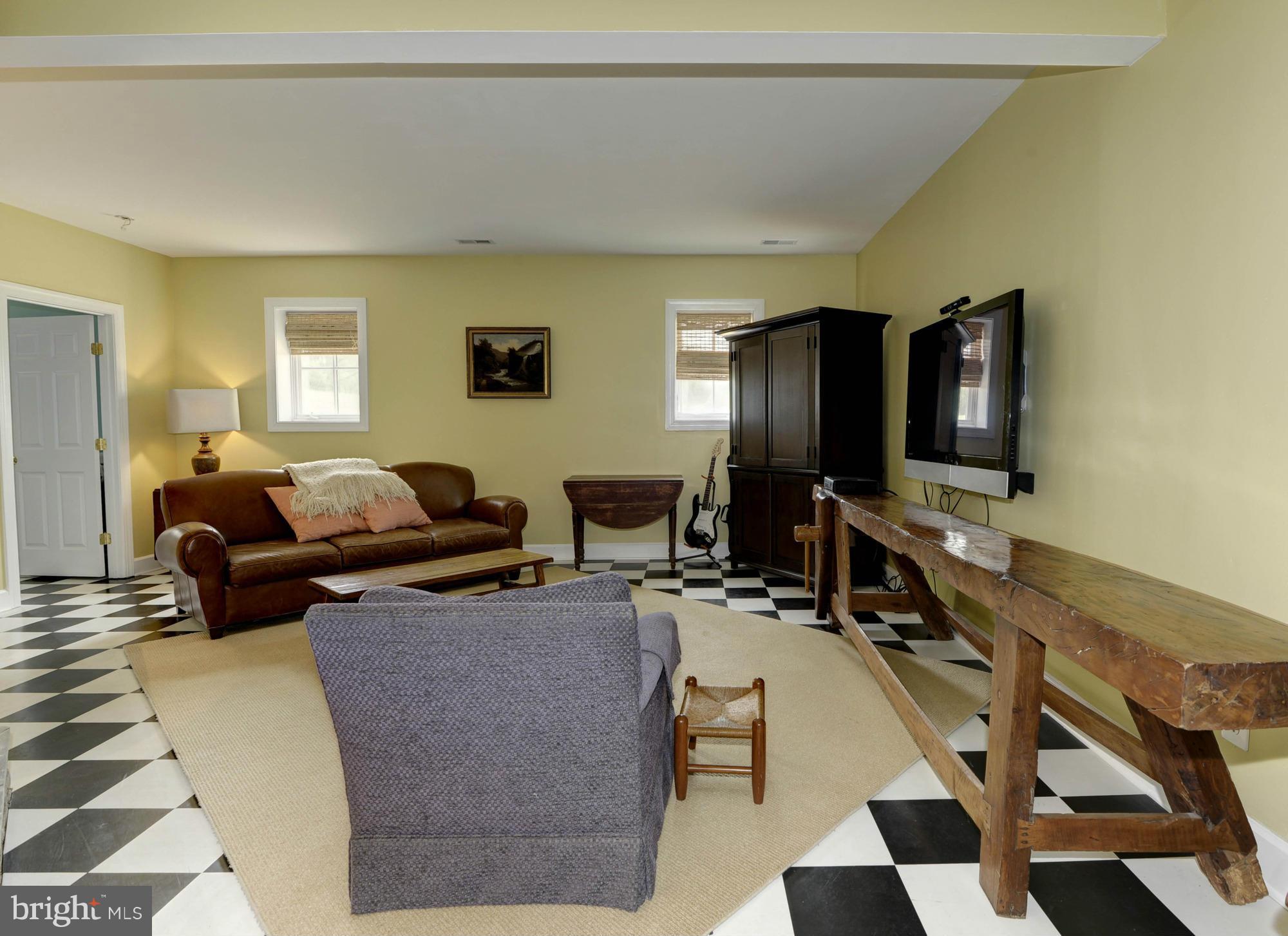 21286 Hibbs Bridge Road Middleburg, VA 20117 - Photo 22 of 30 Walk out Lower Level Family Room