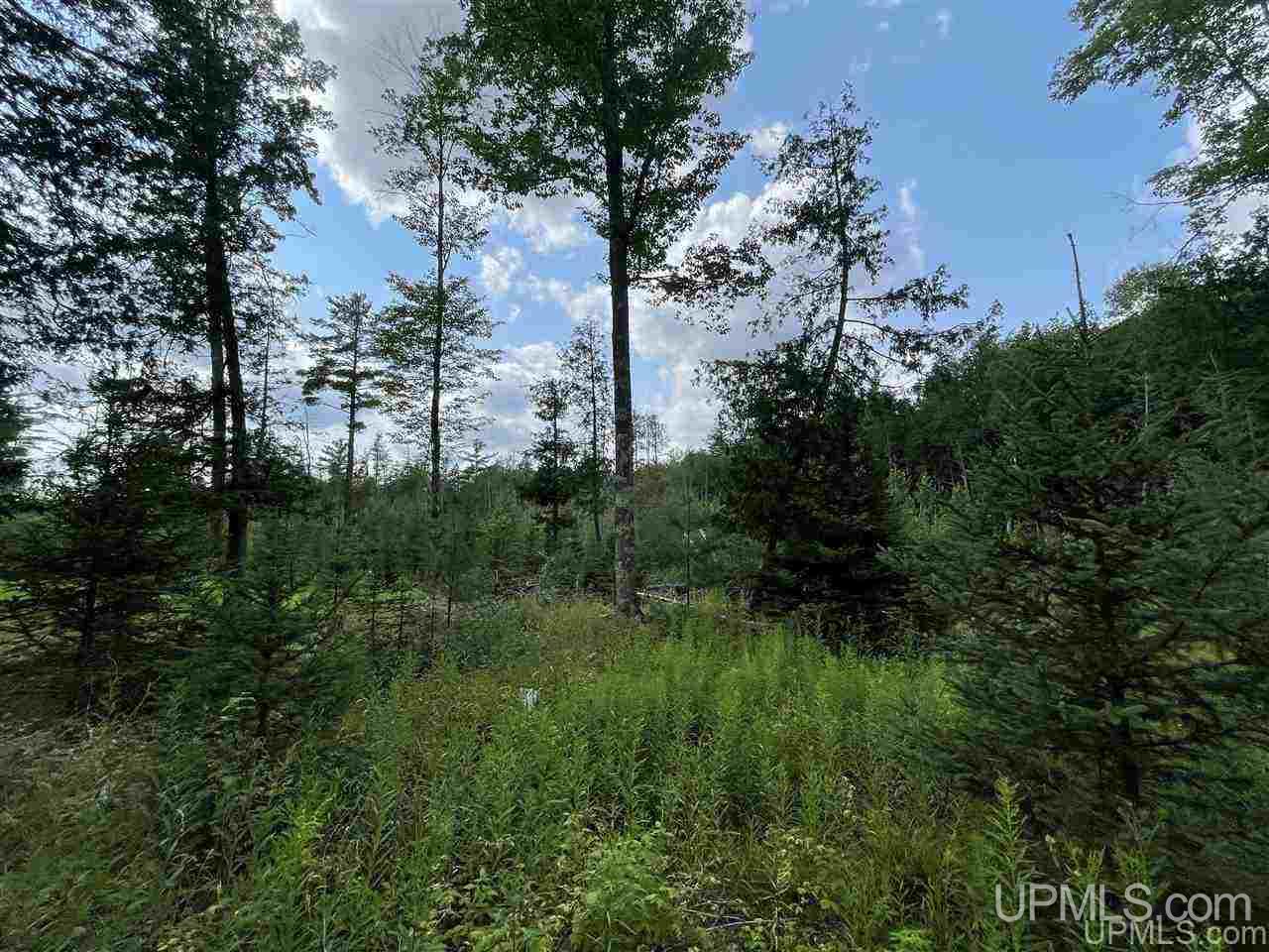 Tbd Sand Road, Unit 2 Powers, MI 49874 - Photo 29 of 38