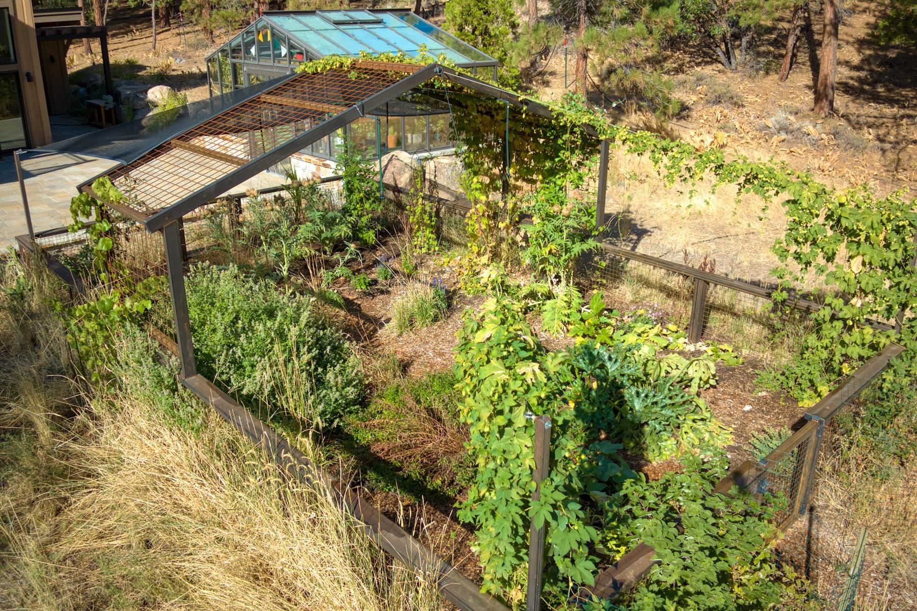 5720 Money Road Beckwourth, CA 96129 - Photo 28 of 28 a view of outdoor space