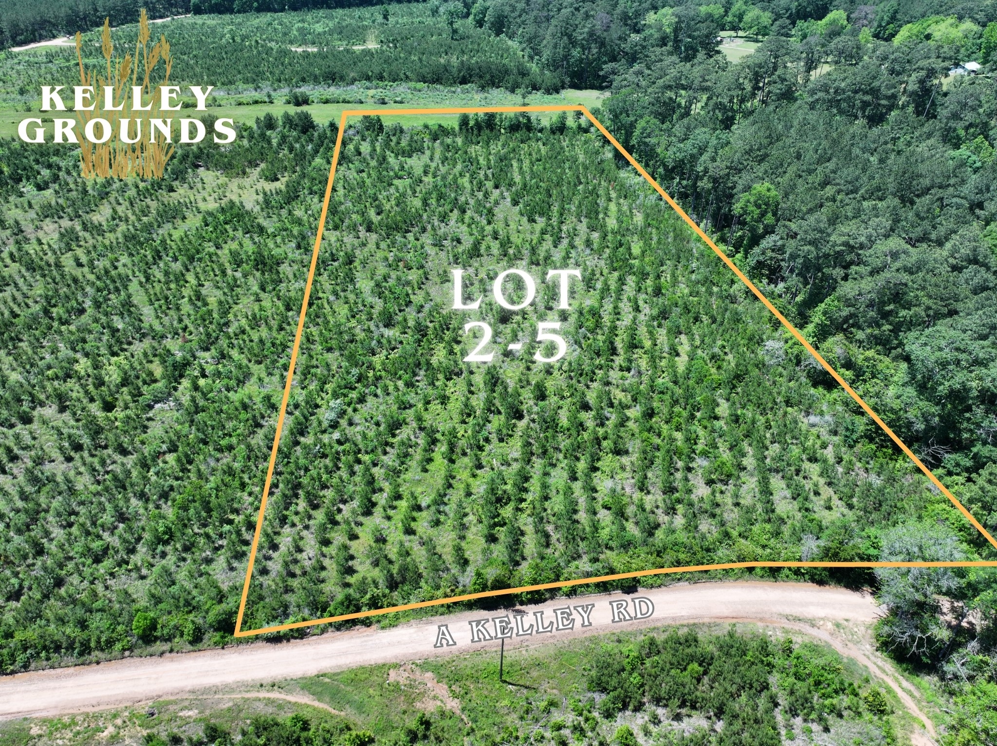 2-2 L L Kelly Road Livingston, TX 77351 - Photo 14 of 23 Gallery Image 14