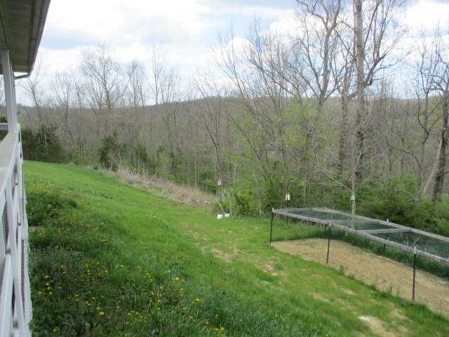 6265 Chipman Ridge Road Williamstown, KY 41097 - Photo 13 of 42