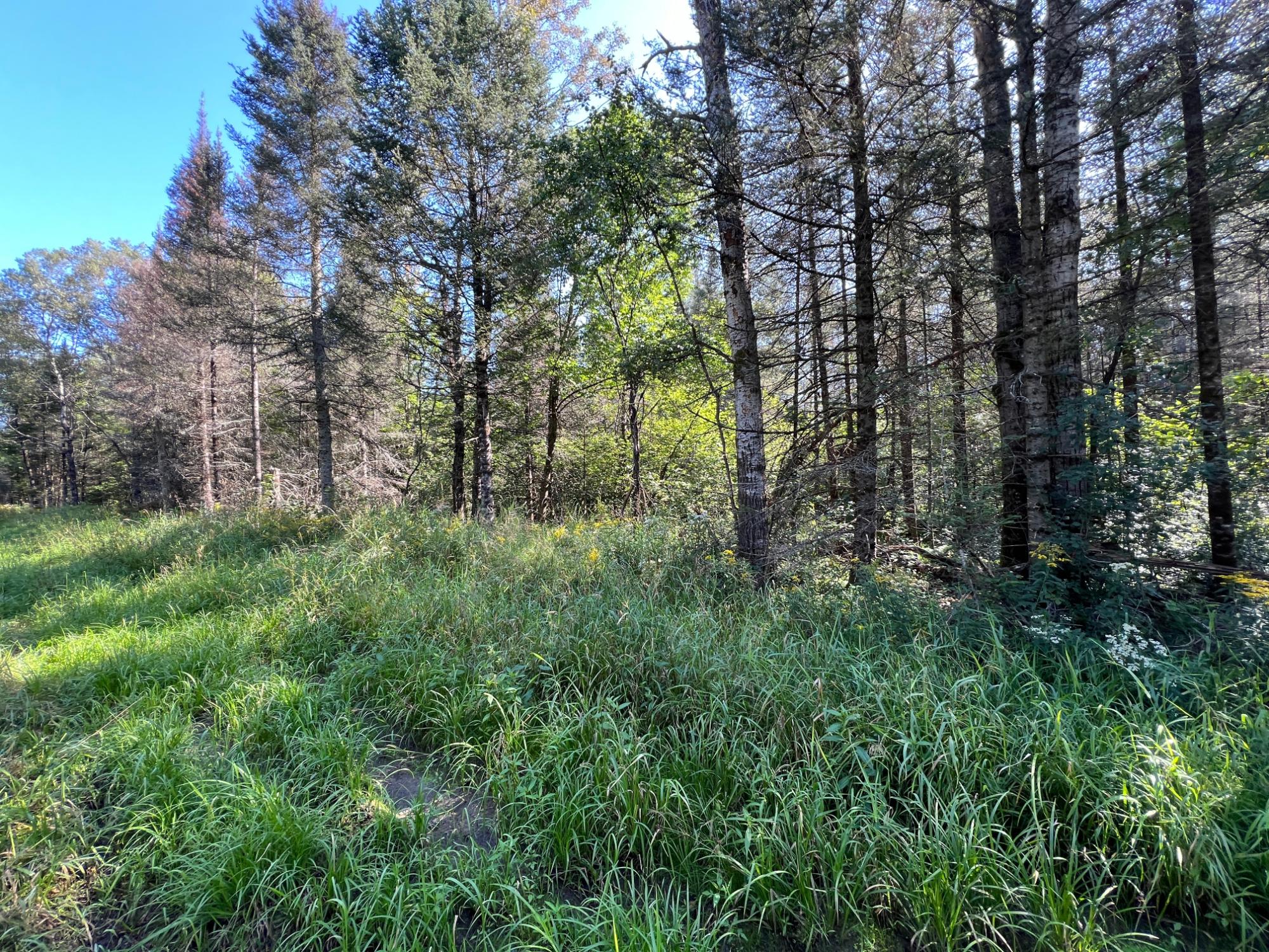 Off Enterprise Lake Road Elcho, WI 54428 - Photo 1 of 11 Gallery Image 1
