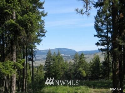 1 Forest Road Oroville, WA 98844 - Photo 1 of 1 Gallery Image 1