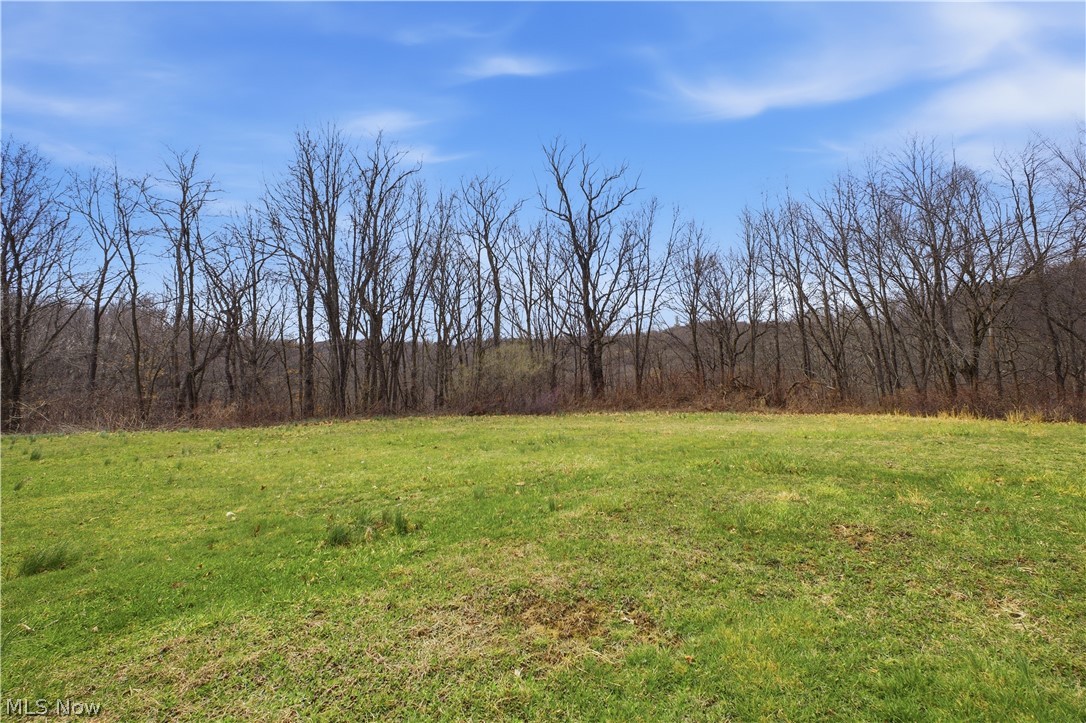 1348 Parshall Road Wellsville, OH 43968 - Photo 30 of 31 Gallery Image 30