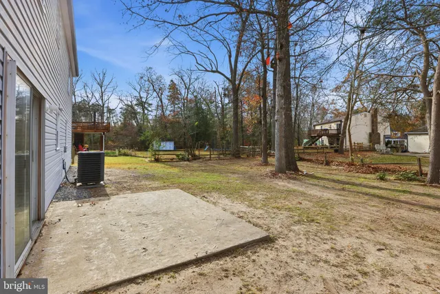 a view of a park with large trees