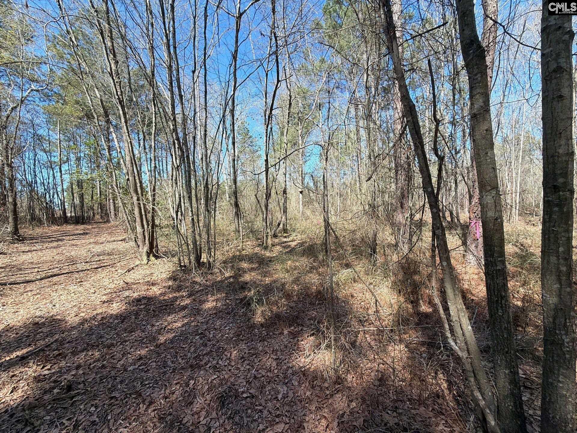 13 Boise Cascade Road, Unit BHL 13 Bethune, SC 29009 - Photo 24 of 31