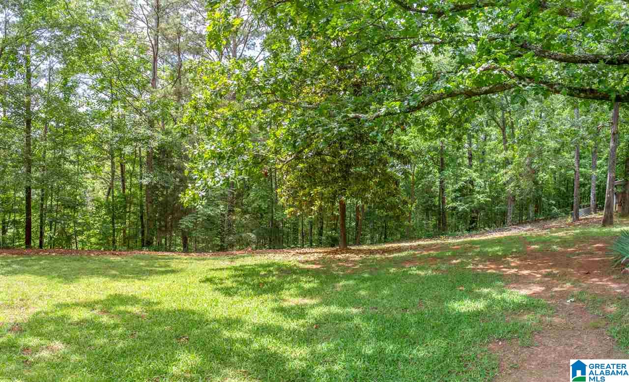 2450 Mcelderry Road Munford, AL 36268 - Photo 41 of 50