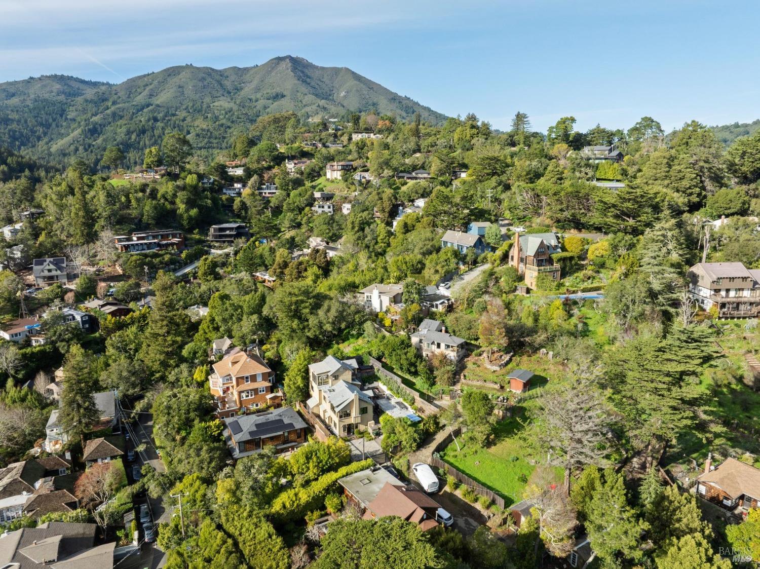 123 Cornelia Avenue Mill Valley, CA 94941 - Photo 7 of 16