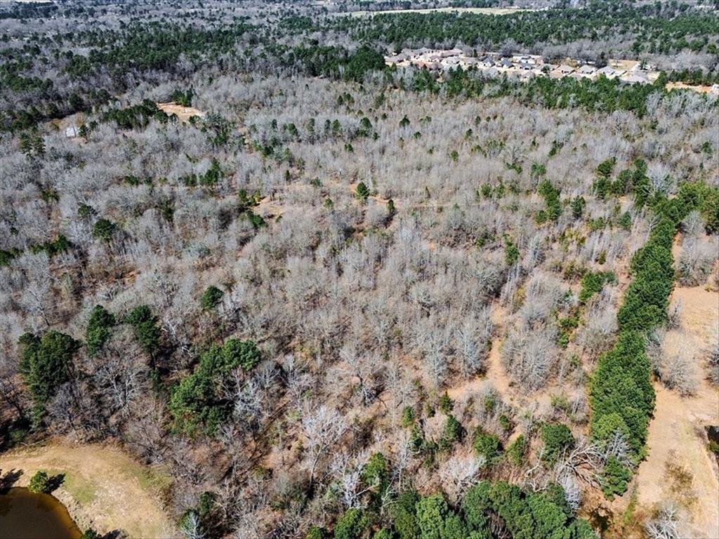 1 East George Richey Road Longview, TX 75604 - Photo 12 of 25 a view of a yard with a tree