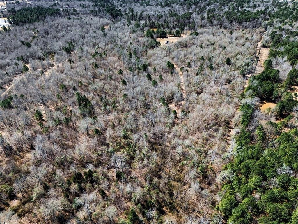 1 East George Richey Road Longview, TX 75604 - Photo 13 of 25 a view of a covered with green field