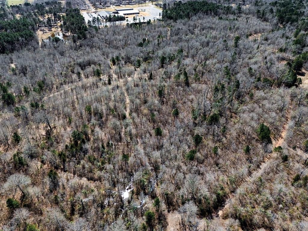 1 East George Richey Road Longview, TX 75604 - Photo 14 of 25 a view of a dry yard with trees