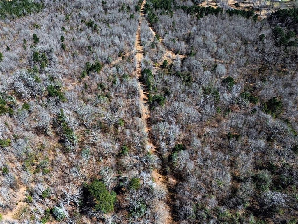 1 East George Richey Road Longview, TX 75604 - Photo 17 of 25 a view of a covered with green space
